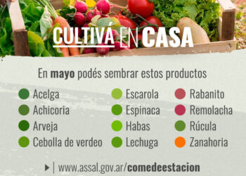 TEODELINA-  𝗔𝗦𝗦𝗔𝗟 | 𝗖𝗨𝗟𝗧𝗜𝗩𝗔 𝗘𝗡 𝗖𝗔𝗦𝗔 