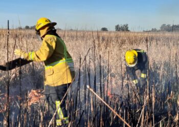 TEODELINA: INCENDIO DE CAMPO A LA ALTURA DE CAMPO SAN TEÓFILO.