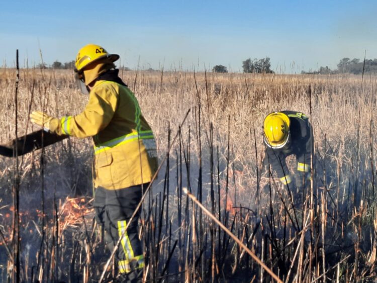 TEODELINA: INCENDIO DE CAMPO A LA ALTURA DE CAMPO SAN TEÓFILO.