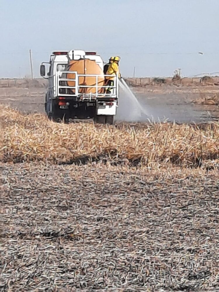 TEODELINA: INCENDIO DE CAMPO A LA ALTURA DE CAMPO SAN TEÓFILO.