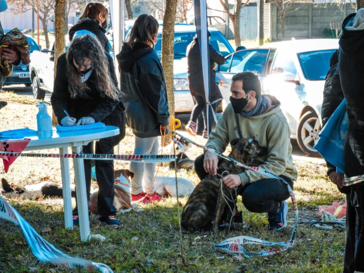 TEODELINA : 𝗖𝗔𝗦𝗧𝗥𝗔𝗖𝗜𝗢𝗡 𝗠𝗔𝗦𝗜𝗩𝗔 | 𝟴𝟱 𝗔𝗡𝗜𝗠𝗔𝗟𝗘𝗦 𝗘𝗦𝗧𝗘𝗥𝗜𝗟𝗜𝗭𝗔𝗗𝗢𝗦 