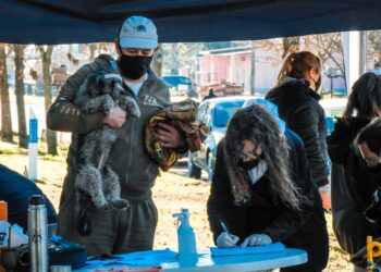 TEODELINA : 𝗖𝗔𝗦𝗧𝗥𝗔𝗖𝗜𝗢𝗡 𝗠𝗔𝗦𝗜𝗩𝗔 | 𝟴𝟱 𝗔𝗡𝗜𝗠𝗔𝗟𝗘𝗦 𝗘𝗦𝗧𝗘𝗥𝗜𝗟𝗜𝗭𝗔𝗗𝗢𝗦 