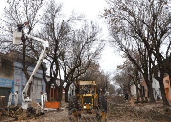 VILLA CAÑAS : TRABAJOS DE PODA CORRECTIVA EN LA CIUDAD