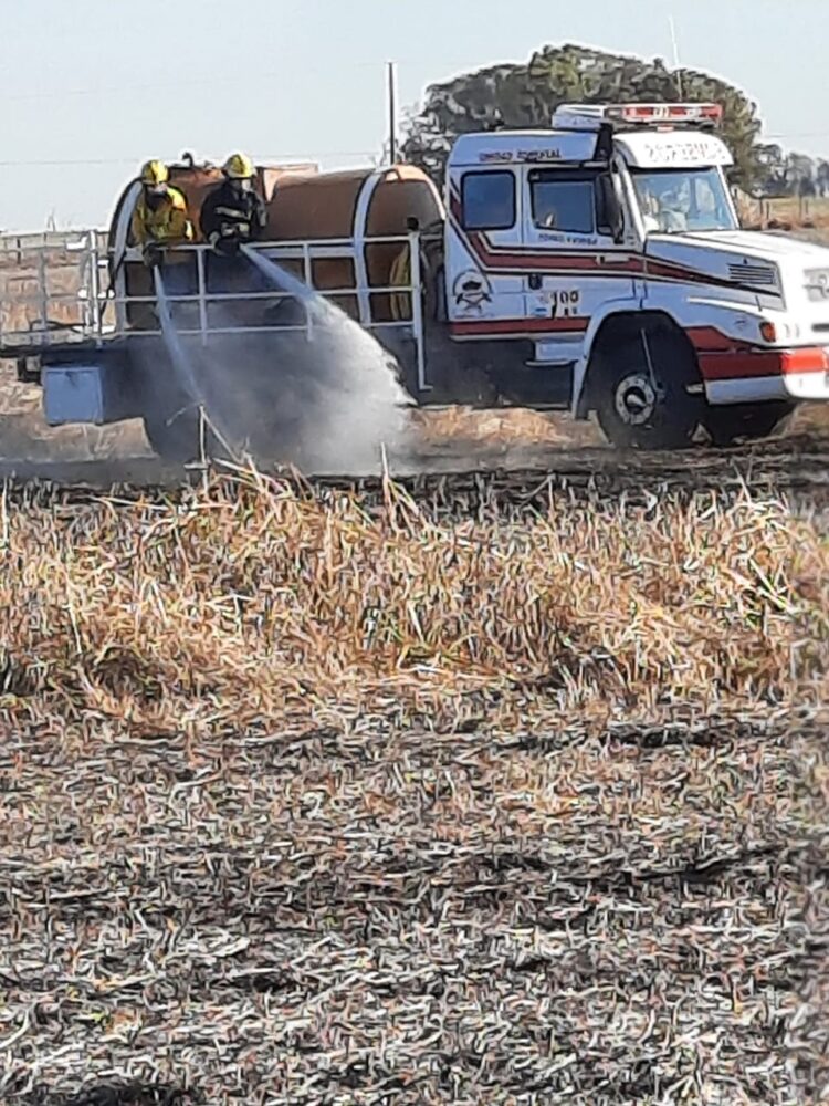 TEODELINA: INCENDIO DE CAMPO A LA ALTURA DE CAMPO SAN TEÓFILO.
