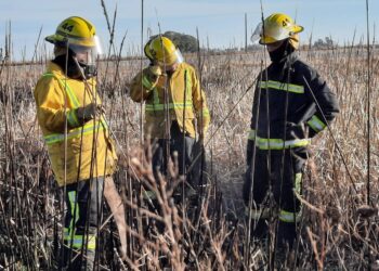 TEODELINA: INCENDIO DE CAMPO EN COLONIA LAS MERCEDES
