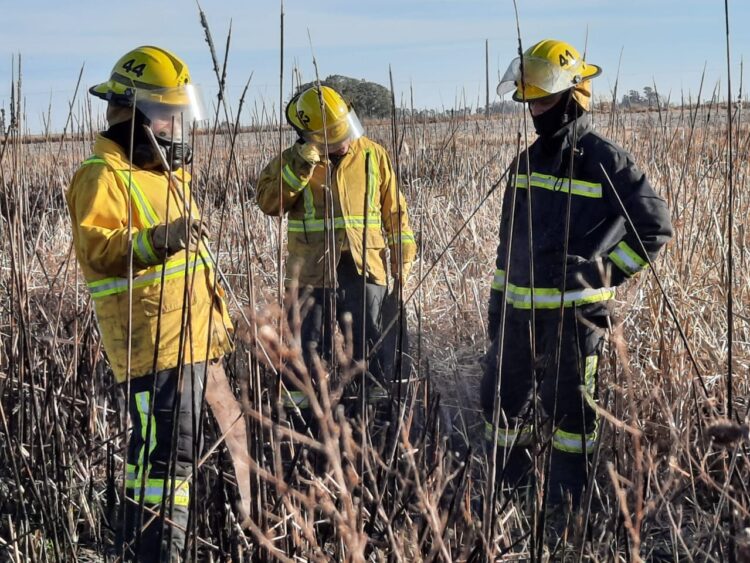 TEODELINA: INCENDIO DE CAMPO A LA ALTURA DE CAMPO SAN TEÓFILO.