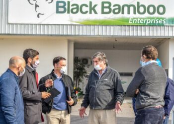 PULLARO Y ENRICO PROMUEVEN UNA LEY DE AYUDA PARA FRIGORÍFICOS SANTAFESINOS ANTE LA CRISIS DEL SECTOR