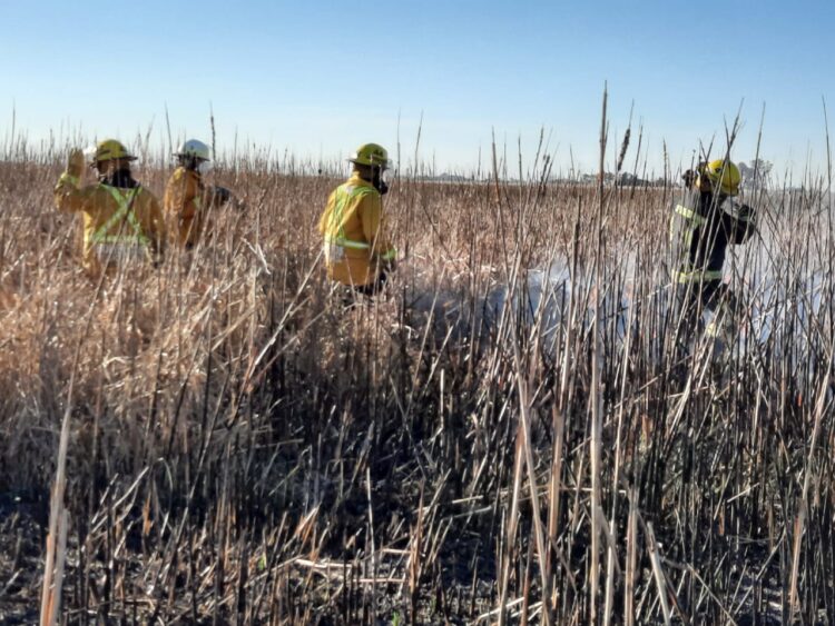 TEODELINA: INCENDIO DE CAMPO A LA ALTURA DE CAMPO SAN TEÓFILO.