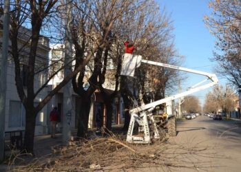 VILLA CAÑAS: CONTINÚA A BUEN RITMO LA PODA CORRECTIVA EN LA CIUDAD⠀