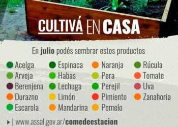 TEODELINA . 𝗔𝗦𝗦𝗔𝗹 | 𝗖𝗨𝗟𝗧𝗜𝗩𝗔 𝗘𝗡 𝗖𝗔𝗦𝗔