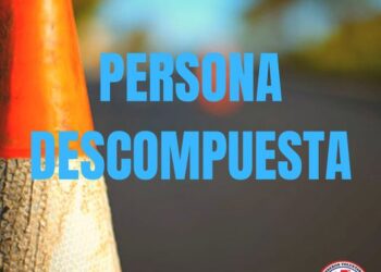 TEODELINA PERSONA DESCOMPUESTA