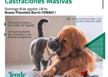 TEODELINA .DOMINGO 8 DE 𝐀𝐆𝐎𝐒𝐓𝐎  | 𝐉𝐎𝐑𝐍𝐀𝐃𝐀 𝐃𝐄 𝐂𝐀𝐒𝐓𝐑𝐀𝐂𝐈𝐎𝐍𝐄𝐒 𝐌𝐀𝐒𝐈𝐕𝐀𝐒 