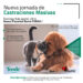 TEODELINA .DOMINGO 8 DE 𝐀𝐆𝐎𝐒𝐓𝐎  | 𝐉𝐎𝐑𝐍𝐀𝐃𝐀 𝐃𝐄 𝐂𝐀𝐒𝐓𝐑𝐀𝐂𝐈𝐎𝐍𝐄𝐒 𝐌𝐀𝐒𝐈𝐕𝐀𝐒  TEODELINA .DOMINGO 8 DE 𝐀𝐆𝐎𝐒𝐓𝐎  | 𝐉𝐎𝐑𝐍𝐀𝐃𝐀 𝐃𝐄 𝐂𝐀𝐒𝐓𝐑𝐀𝐂𝐈𝐎𝐍𝐄𝐒 𝐌𝐀𝐒𝐈𝐕𝐀𝐒