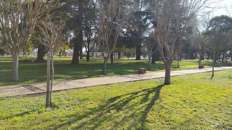 TEODELINA RUMBO A UN NUEVO ANIVERSARIO