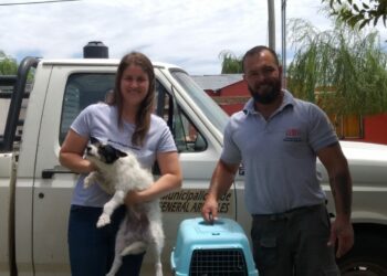 PROGRAMA MUNICIPAL : ADOPTA UN AMIGO HOY PIPA Y CARO