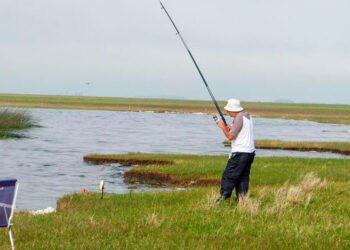 ENRICO REFUERZA SU APOYO A LA ACTIVIDAD PESQUERA Y SOLICITA QUE SE OTORGUEN LAS LICENCIAS DE GUÍAS DE PESCA