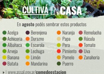 COMUNA DE TEODELINA  𝗔𝗦𝗦𝗔𝗹 | 𝗖𝗨𝗟𝗧𝗜𝗩𝗔 𝗘𝗡 𝗖𝗔𝗦𝗔