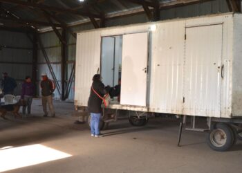 VILLA CAÑAS  NUEVA JORNADA DE CASTRACIÓN DE PERROS Y GATOS