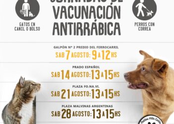VILLA CAÑAS  AGOSTO SERÁ EL MES DE LA VACUNACIÓN ANTIRRÁBICA