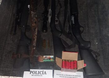 CONTINÚA EL DESARME DE PERSONAS EN EL TERRITORIO PROVINCIAL