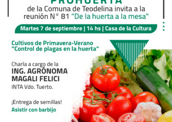 TEODELINA : 𝗣𝗥𝗢𝗛𝗨𝗘𝗥𝗧𝗔 | 𝗥𝗘𝗨𝗡𝗜𝗢𝗡 𝗡° 𝟴𝟭 “𝗗𝗘 𝗟𝗔 𝗛𝗨𝗘𝗥𝗧𝗔 𝗔 𝗟𝗔 𝗠𝗘𝗦𝗔”