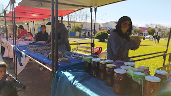 TEODELINA DOMINGO A PLENO SOL EN LA PLAZA ITUZAINGO!!!
