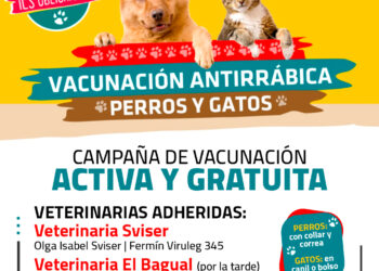 𝗩𝗔𝗖𝗨𝗡𝗔𝗖𝗜𝗢𝗡 𝗔𝗡𝗧𝗜𝗥𝗥𝗔𝗕𝗜𝗖𝗔 𝗔𝗖𝗧𝗜𝗩𝗔, 𝗱𝗲𝘀𝘁𝗶𝗻𝗮𝗱𝗼 𝗮 𝗽𝗲𝗿𝗿𝗼𝘀 𝘆 𝗴𝗮𝘁𝗼𝘀 𝗺𝗮𝘆𝗼𝗿𝗲𝘀 𝗮 𝘁𝗿𝗲𝘀 𝗺𝗲𝘀𝗲𝘀.