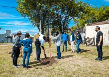 TEODELINA: 𝗘𝗖𝗢𝗧𝗘𝗢 | PLANTAR UN ÁRBOL ES SEMBRAR VIDA