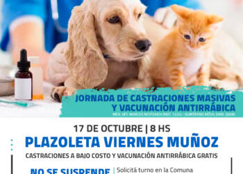 TEODELINA: 𝗝𝗢𝗥𝗡𝗔𝗗𝗔 𝗗𝗘 𝗖𝗔𝗦𝗧𝗥𝗔𝗖𝗜𝗢𝗡𝗘𝗦 𝗠𝗔𝗦𝗜𝗩𝗔𝗦 𝗔 𝗕𝗔𝗝𝗢 𝗖𝗢𝗦𝗧𝗢 𝗬 𝗩𝗔𝗖𝗨𝗡𝗔𝗖𝗜𝗢𝗡 𝗔𝗡𝗧𝗜𝗥𝗥𝗔𝗕𝗜𝗖𝗔 𝗚𝗥𝗔𝗧𝗨𝗜𝗧𝗔 