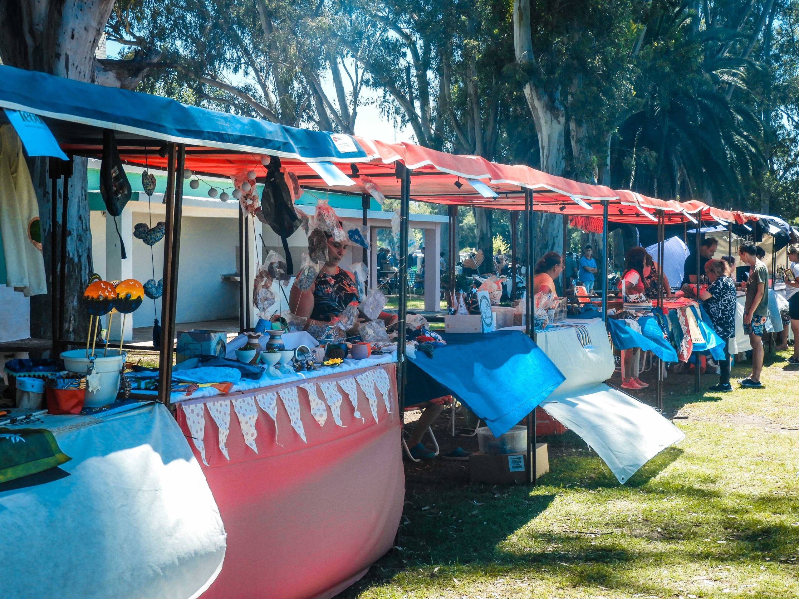 MULTITUDINARIA FIESTA DEL POLLO AL DISCO EN TEODELINA