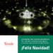 TEODELINA: FELICES FIESTAS TEODELINA: FELICES FIESTAS
