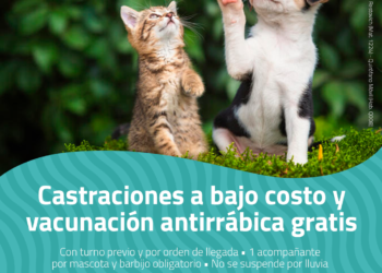 TEODELINA : 𝗖𝗔𝗦𝗧𝗥𝗔𝗖𝗜𝗢𝗡𝗘𝗦 𝗔 𝗕𝗔𝗝𝗢 𝗖𝗢𝗦𝗧𝗢 𝗬 𝗩𝗔𝗖𝗨𝗡𝗔𝗖𝗜𝗢𝗡 𝗔𝗡𝗧𝗜𝗥𝗥𝗔𝗕𝗜𝗖𝗔 𝗚𝗥𝗔𝗧𝗨𝗜𝗧𝗔  