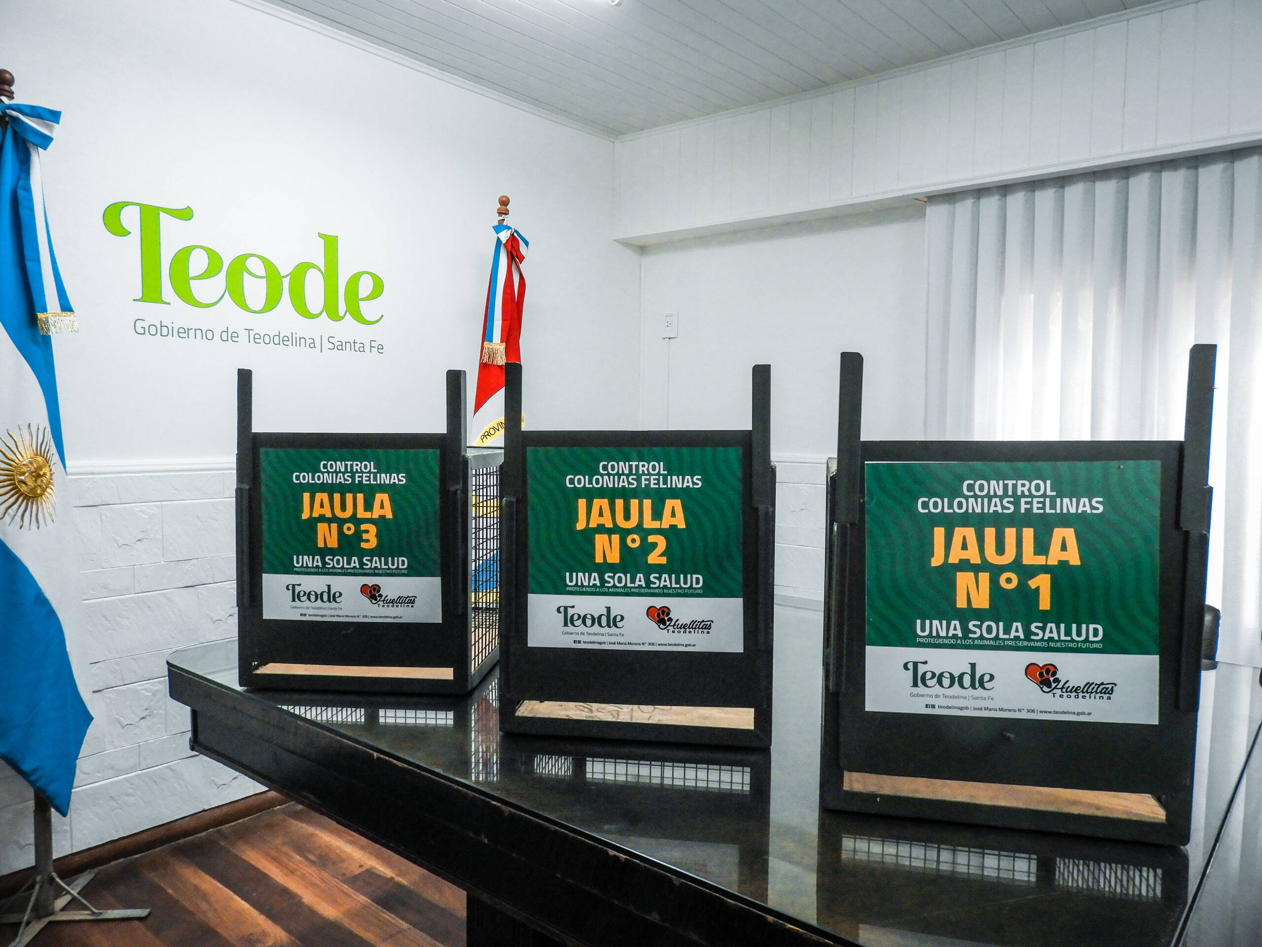 TEODELINA : 𝗦𝗔𝗟𝗨𝗗 𝗔𝗡𝗜𝗠𝗔𝗟 | 𝗣𝗿𝗼𝗴𝗿𝗮𝗺𝗮 𝗽𝗮𝗿𝗮 𝗲𝗹 𝗖𝗼𝗻𝘁𝗿𝗼𝗹 𝗱𝗲 𝗖𝗼𝗹𝗼𝗻𝗶𝗮𝘀 𝗙𝗲𝗹𝗶𝗻𝗮𝘀 TEODELINA : 𝗦𝗔𝗟𝗨𝗗 𝗔𝗡𝗜𝗠𝗔𝗟 | 𝗣𝗿𝗼𝗴𝗿𝗮𝗺𝗮 𝗽𝗮𝗿𝗮 𝗲𝗹 𝗖𝗼𝗻𝘁𝗿𝗼𝗹 𝗱𝗲 𝗖𝗼𝗹𝗼𝗻𝗶𝗮𝘀 𝗙𝗲𝗹𝗶𝗻𝗮𝘀