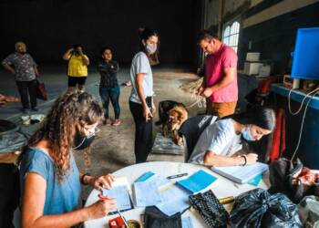 TEODELINA : 𝟱𝟭 𝗔𝗡𝗜𝗠𝗔𝗟𝗘𝗦 𝗘𝗦𝗧𝗘𝗥𝗜𝗟𝗜𝗭𝗔𝗗𝗢𝗦 𝗘𝗡 𝗟𝗔 𝟭𝟮° 𝗝𝗢𝗥𝗡𝗔𝗗𝗔 𝗗𝗘 𝗖𝗔𝗦𝗧𝗥𝗔𝗖𝗜𝗢𝗡𝗘𝗦 𝗠𝗔𝗦𝗜𝗩𝗔𝗦 