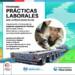 Villa Cañas : CAPACITACIÓ PARA MUJERES: PROGRAMA DE PRÁCTICAS LABORALES Villa Cañas : CAPACITACIÓ PARA MUJERES: PROGRAMA DE PRÁCTICAS LABORALES