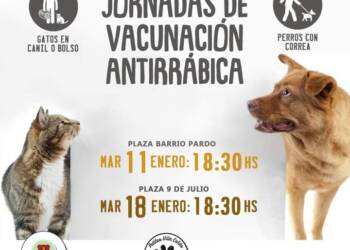 VILLA CAÑAS : JORNADAS DE VACUNACIÓN ANTIRRÁBICA