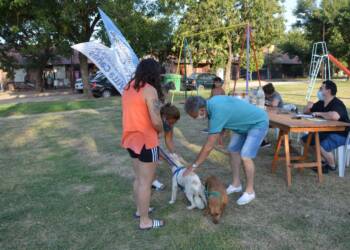 VILLA CAÑAS : SE REALIZARON DOS JORNADAS DE VACUNACIÓN ANTIRRÁBICA