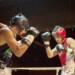 BOXEO REGIONAL: EL SENADOR ENRICO Y LA MUNICIPALIDAD DE VENADO TUERTO TRABAJAN EN ANÁLISIS MÉDICOS DE BOXEADORES BOXEO REGIONAL: EL SENADOR ENRICO Y LA MUNICIPALIDAD DE VENADO TUERTO TRABAJAN EN ANÁLISIS MÉDICOS DE BOXEADORES