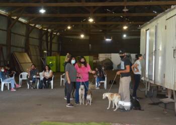 VILLA CAÑAS: PRIMERA JORNADA DEL AÑO DE CASTRACIÓN CANINA Y FELINA