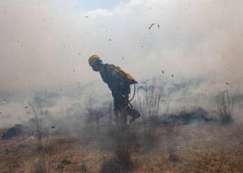 Llueve en Corrientes: los emocionantes festejos de los bomberos que luchan contra los incendios