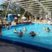 LOS ADULTOS MAYORES DISFRUTAN DE LA COLONIA DE VERANO LOS ADULTOS MAYORES DISFRUTAN DE LA COLONIA DE VERANO