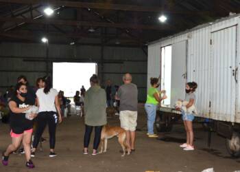 LA MUNICIPALIDAD DE VILLA CAÑÁS CONTINÚA PROMOVIENDO LA CASTRACIÓN DE PERROS Y GATOS