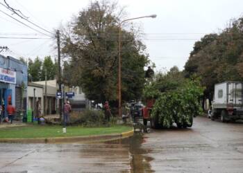 FUERTES VIENTOS AZOTARON LA LOCALIDAD DE TEODELINA