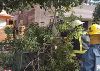TEODELINA: TORMENTA DE VIENTO DEJA A LA LOCALIDAD SIN ENERGIA ELECTRICA POR MAS DE 24 HORAS.