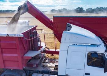 España y Francia le propusieron a la UE comprarle cereales a la Argentina