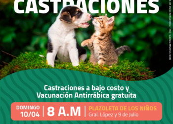 TEODELINA: CASTRACIONES Y VACUNACIÓN ANTIRRÁBICA