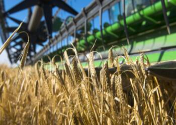 FALLECIÓ UN JOVEN EN ZONA RURAL DE SAN GREGORIO AL RECIBIR UNA DESCARGA ELÉCTRICA