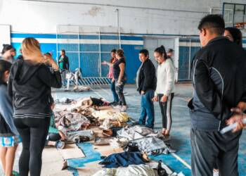 𝘚𝘈𝘓𝘜𝘋 𝘈𝘕𝘐𝘔𝘈𝘓 | Continúan los operativos de castraciones y vacunación de mascotas