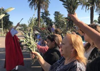 TEODELINA; DOMINGO DE RAMOS