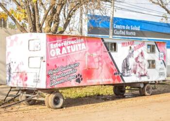 EL QUIRÓFANO MÓVIL IMPULSADO POR EL SENADOR ENRICO CONTINÚA ATENDIENDO LA SALUD DE LOS ANIMALES EN LA REGIÓN
